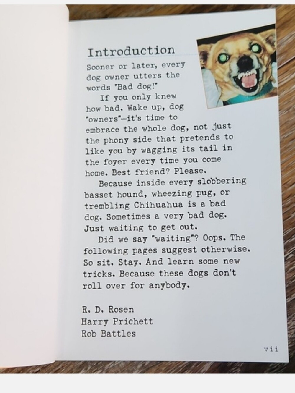 Bad Dog Book - Picture 5 of 9